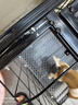 宠乐乖（CHONGLEGUAI）加粗方管狗笼子中型犬大型犬室内带厕所金毛拉布拉狗笼子78# 实拍图