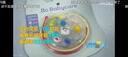 babycare精油手环手链西高地项链儿童户外防护串珠手环情侣闺蜜手环可爱 实拍图