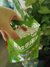 绿鼻子（green nose）舒缓贴 儿童止痒消肿贴便携防抓挠紫草清凉贴2枚 刺猬邮差员 实拍图