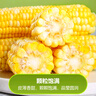 京鲜生云南甜脆水果玉米段2斤 低脂甜糯玉米棒粒 开袋即食包装随机发货 实拍图