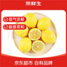 京鲜生 南非进口柠檬12粒装 单果约80g+ 新鲜水果 源头直发 包邮 实拍图