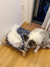 HELLOJOY猫窝狗窝四季通用小型犬离地透气狗垫子宠物行军床夏季睡觉用幼猫 实拍图