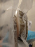我爱渔真鳕鱼圆切900g 独立真空包装深海鳕鱼块7-9片 低脂肪高蛋白生鲜 实拍图