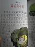 小王子+海底两万里+八十天环游地球+昆虫记+鲁滨孙漂流记+汤姆叔叔的小屋(全6册）彩图注音版一二三年级课外阅读书必读世界经典文学少儿名著儿童文学童话故事书 实拍图