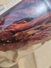 华味亨风干鸡肉干五香味250g/罐鸡胸肉干减零食低耐嚼卡脂即食解馋 实拍图