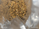 贡苑 桂林特产精选桂花茶20g 纯原味无熏硫好货 干桂花香甜泡水花草茶 实拍图