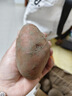 【真便宜】云南红皮土豆高原黄心土豆云南土豆新鲜红皮黄心洋芋 云南红皮土豆 1斤 单果1-3两 实拍图