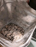 来伊份瓜蒌籽250g 休闲办公司零食炒货瓜子葵花子吊瓜子西瓜子 实拍图
