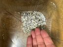 欧姆龙（OMRON）原装臂带电子血压计袖带通用儿童医用臂带专用原厂加大款HEM-CR24 原装加大臂带（臂围32-42CM)+蓝接头 实拍图
