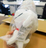 JD JOY 京东吉祥物京东狗毛绒公仔玩具玩偶摆件中号JD JOY版 晒单实拍图
