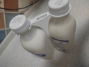 三元 极致A2β-酪蛋白巴氏杀菌鲜牛奶900mlx2瓶【王凯力荐】 实拍图