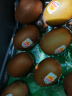 佳沛（zespri）新西兰  金果16粒猕猴桃礼盒经典果单果 77-103g 端午节水果礼盒 实拍图