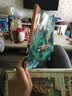 海底小纵队探险记 第一辑大王乌贼 实拍图