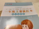 六品堂一年级小学生练字帖铅笔字帖楷书描红本写字同步上册儿童人教版全套生字硬笔课本同步语文 实拍图