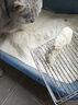 lorde里兜 6重混合猫砂豆腐膨润土矿砂除臭猫沙幼猫用品可冲厕所 茉莉小黑核2.4kg*4袋 实拍图