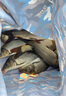 新边界 原味巴旦木仁400g 每日坚果炒货休闲零食干果扁桃仁大杏仁 实拍图