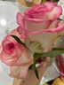 云南鲜花批发品质玫瑰百合水养鲜切花送女友生日礼物源头直发 玫瑰10枝-任意色 【任选2件—不收运費】 实拍图