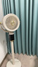 美的（Midea）电风扇空气循环扇暴风驱蚊落地扇家用大风力轻音净化扇 暖灰【驱蚊款】双重抗菌+智能语音+10米送风 实拍图