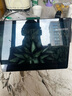 微软（Microsoft）Surface Pro第11版 二合一笔记本电脑 国家补贴20% 轻薄本 AI PC 骁龙X Elite 16G 512G 典雅黑 实拍图