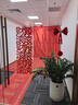 新玥开业地毯开业大吉庆典门口剪彩一次性无纺布简约大红地毯装饰10米 实拍图