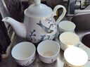 金岚玉骨瓷花茶壶泡瓷茶壶小壶沏茶壶凉水壶单壶小号家用水具 青雀之喜-金钟杯5个玉兰壶 800ml 实拍图