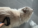 憨憨乐园猫咪狗梳子脱毛梳狗毛梳除毛去浮毛按摩梳脱毛神器宠物开结梳大号 实拍图