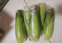 佳农宝菜山东新鲜水果玉米单根275g+鲜甜多汁4-7根净重4.6斤源头直发 实拍图