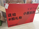九号（Ninebot）电动平衡车L系列【送孩子的酷礼物】儿童平衡车6-12岁双轮九号电动车成人体感车手控腿控车 平衡车L8礼盒版【2025新款】 实拍图