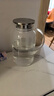 青苹果耐热冷水壶1.95升 可加热茶水分离围炉煮茶壶 大容量玻璃凉水壶  实拍图