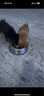 汪爸爸鲜肉无谷犬粮泰迪柯基比熊金毛小型犬中大型犬全价幼犬通用型狗粮 鲜肉幼犬粮1kg【单包装】 12月以下 实拍图