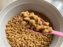 宝路狗粮 成犬狗粮中大中小型犬 全价狗粮牛肉味1.8kg 实拍图