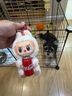 HONEYCARE宠物尿垫猫狗尿片 训导防漏尿布 加厚尿不湿狗狗厕所垫M码45*60cm 实拍图