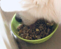 宝路狗粮老年犬狗粮 7岁以上牛肉味1.8kg全犬种通用老年犬狗粮全价粮  实拍图