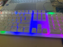 前行者GX 87键真机械手感游戏键盘鼠标套装有线静音薄膜键鼠台式电脑网吧笔记本办公背光USB外接外设 白色-彩虹背光键盘【加厚升级版】 实拍图