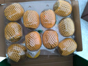 佳沛（zespri）新西兰  阳光金奇异果10粒礼盒巨大果单果约144-175g 水果 猕猴桃 实拍图