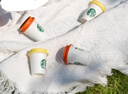 星巴克（Starbucks）随星杯精品速溶黑咖啡混合系列全口味尝鲜装6颗 实拍图