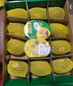 佳沛（zespri）新西兰 阳光金奇异果12粒礼盒特大果单果约122-146g 猕猴桃 水果 实拍图