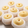 京鲜生 河北辛集白玉皇冠梨 净重4.5斤 单果250g+  生鲜水果 源头直发 实拍图