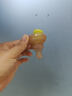 世喜咬咬乐婴儿吃水果宝宝安抚牙胶果蔬推进式辅食器S码+咬袋L码 实拍图