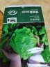 寿禾 圆生菜种子结球蔬菜菜籽 潍育系列绿翡翠结球生菜种子10g 实拍图