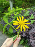 富安娜被子夏凉被夏季空调被可机洗抑菌夏被双人薄被芯3斤230×229cm 实拍图