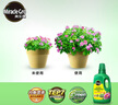 美乐棵植物通用营养液磷酸二氢钾花肥肥料绿萝发财树植物营养液500ML 实拍图