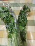  大芹菜约400g 实拍图