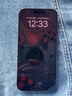 Apple/苹果 iPhone 16 Pro Max（A3297）256GB 沙漠色钛金属 支持移动联通电信5G 双卡双待手机 实拍图