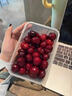 现货山东红灯大樱桃露天酸甜樱桃新鲜水果国产车厘子当季孕妇现摘 2斤(净重)  2斤 中大果 晒单实拍图