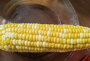 佳农宝菜浙江新鲜带绿皮爆浆白甜玉米净重3.8斤牛奶玉米5-8根源头直发 实拍图