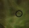 爆款16色水波纹极光星空投影灯旋转水波纹氛围灯可触控可遥控水纹灯卧室床头浪漫灯动态小夜灯台灯 水波纹16色炫彩呼吸款投影灯（基础款） 实拍图