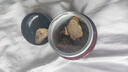 同仁堂品牌北京同仁堂 阿拉善肉苁蓉200克大芸鲜干片滋补泡茶泡酒 实拍图