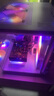 技嘉 酷睿i5 13400F台式组装电脑主机RTX4060Ti/5060Ti游戏高端电竞独显直播设计渲染整机 配置二：i5 13400F丨RTX5060 晒单实拍图