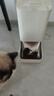 Orijen渴望猫粮 成猫幼猫干粮 六种鱼肉无谷全价通用进口5.4kg效期26/5 实拍图